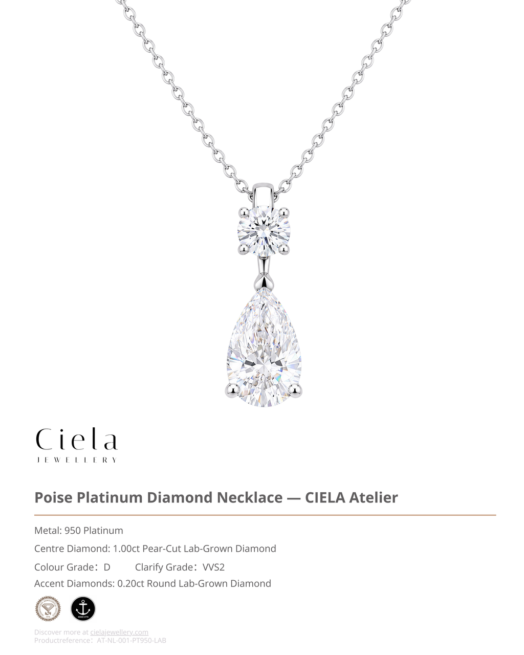 Poise Drop Necklace