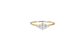 The Meridian Ring
